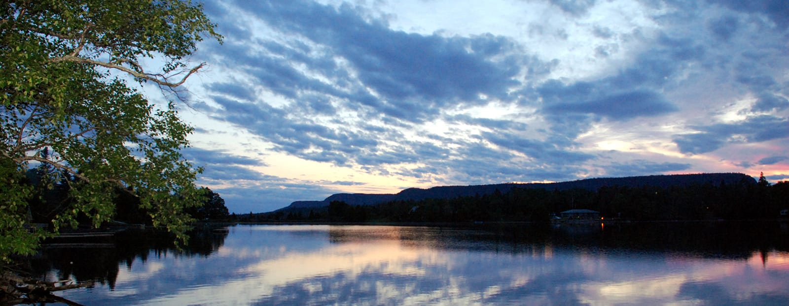 a lake with a tree next to it