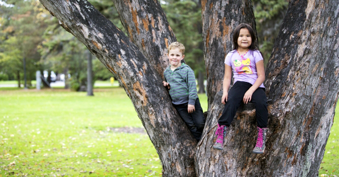 Children playing in tree at Vickers Park