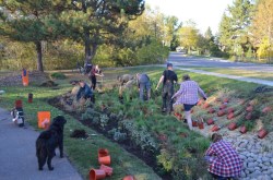 people planting a new rain garden