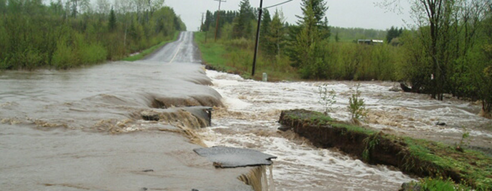 flooded roadside