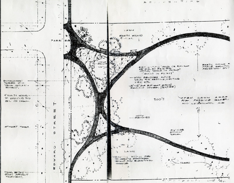 A hand drawn photo showing the parks footpath and flora locations
