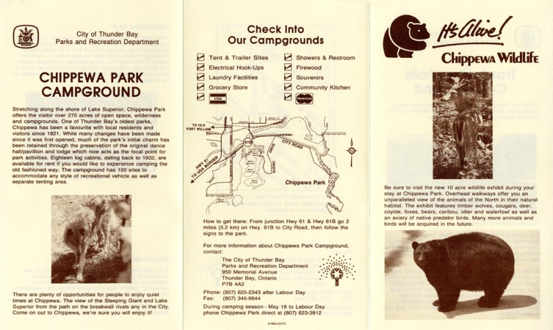 A brochure printed on brown paper with a picture of a bear and text