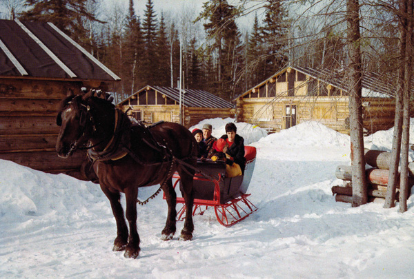Two horses pulling a sleigh in the snow in an unidentified park