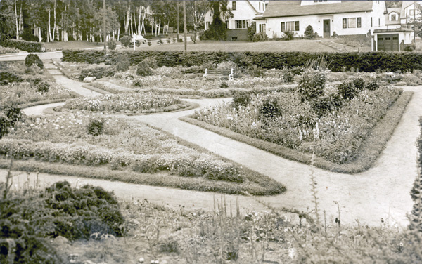 A garden in bloom with pathways in between