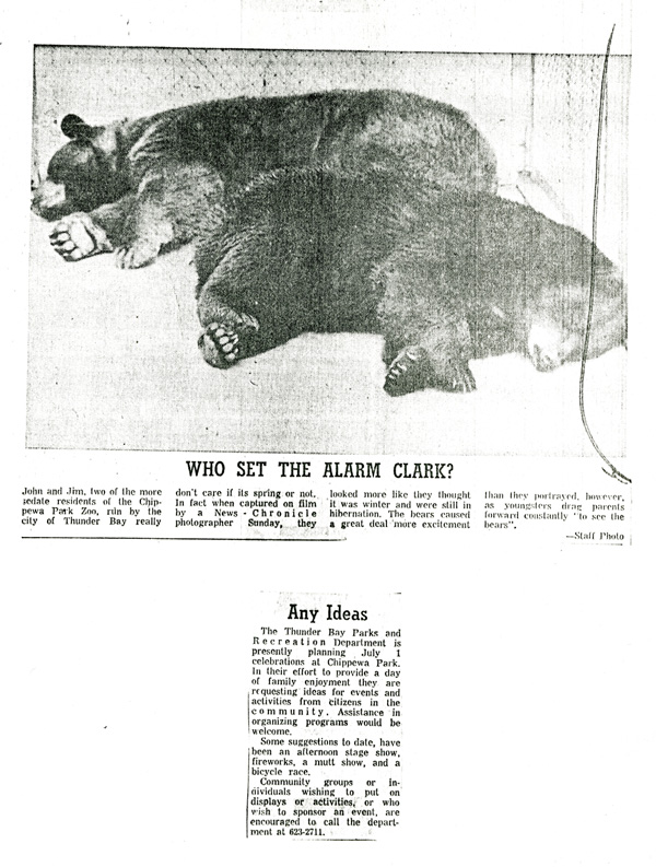A bear resting in its enclosure in a black and white news photo