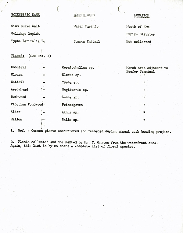 A typed list of flora and fauna on white paper with black ink