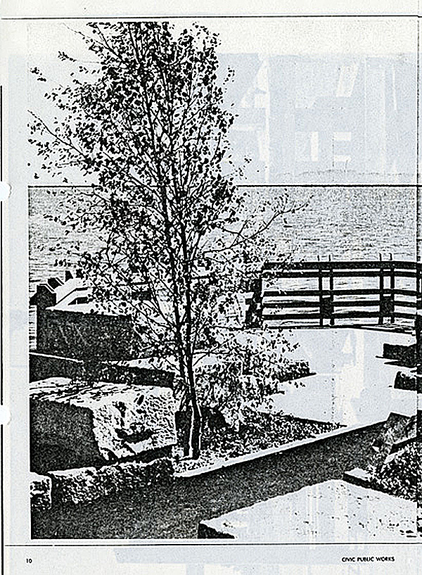 A newspaper clipping showing a park and a tree