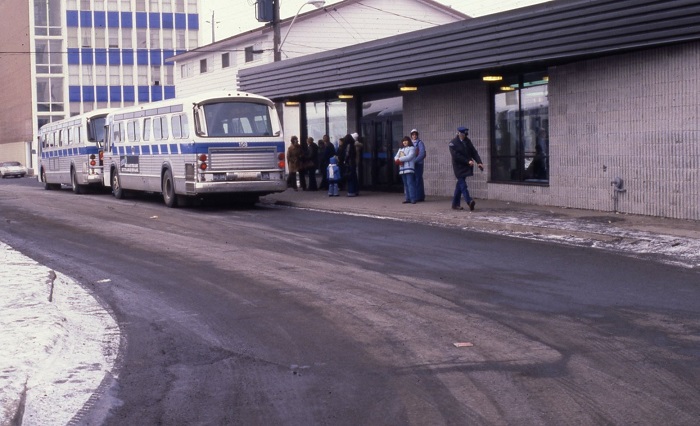 the Brodie St. terminal. Two buses are stopped at it. 