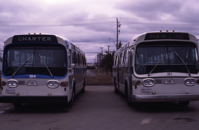 two buses parked beside each other