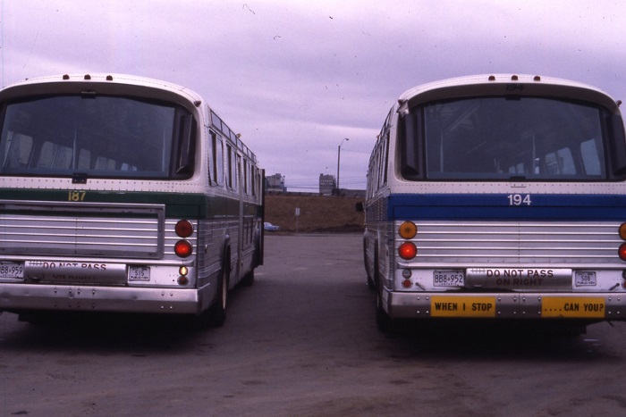 the backs of two buses parked beside each other