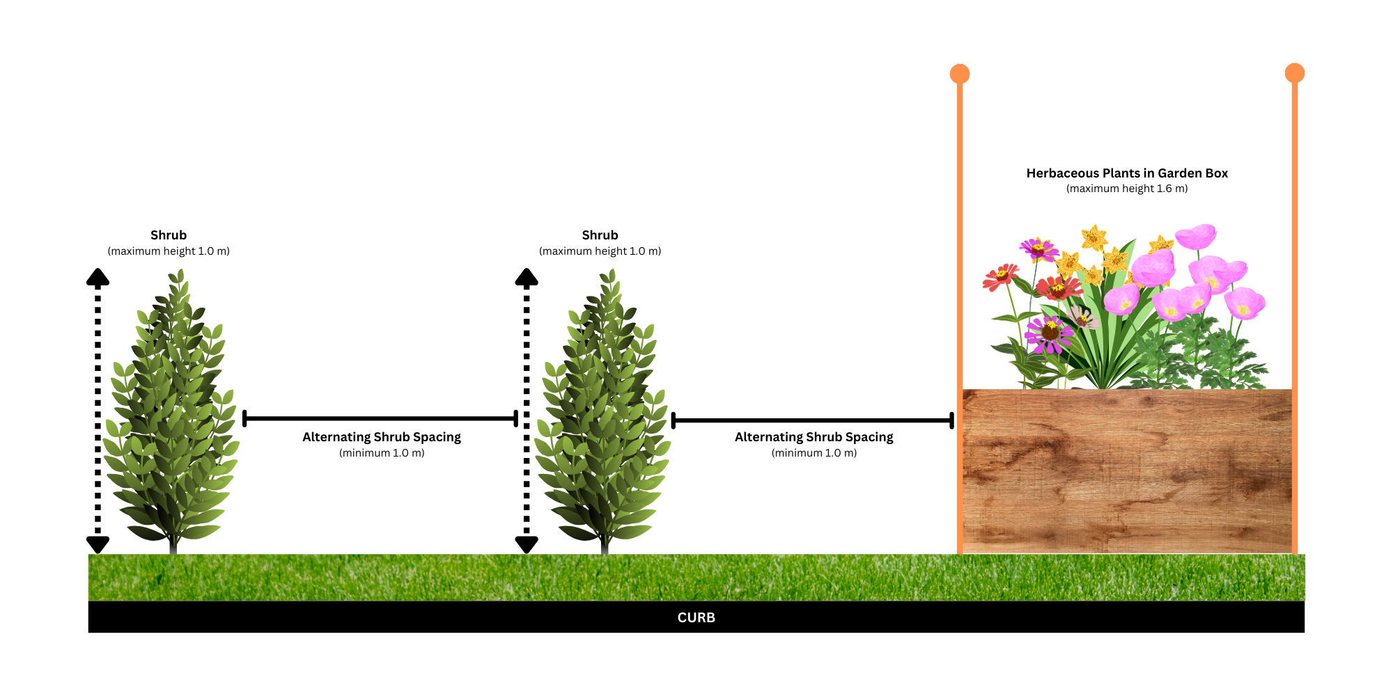 A diagram showing how shrubs need to be planted from the curb