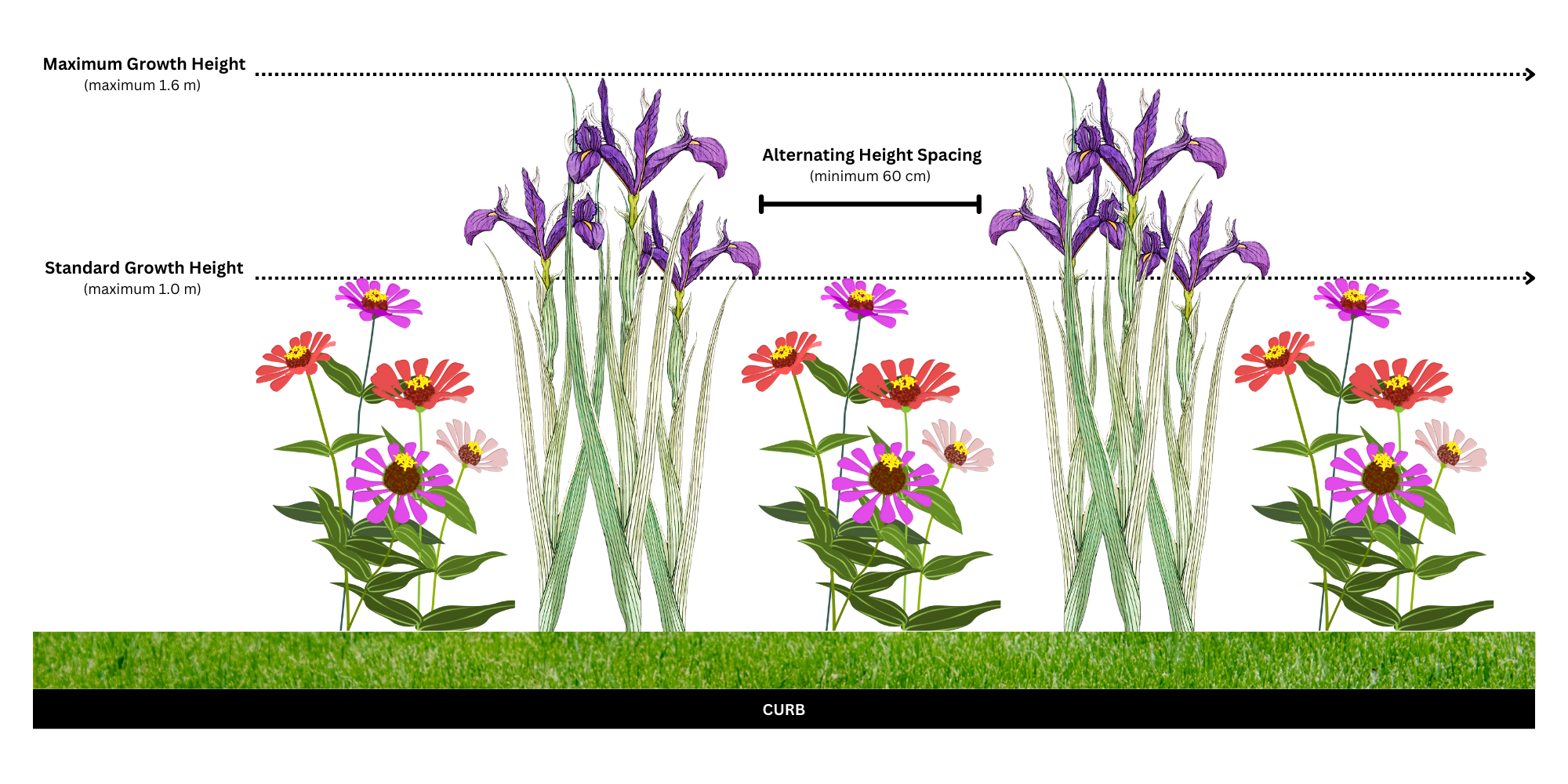 A diagram showing how alternating planting works