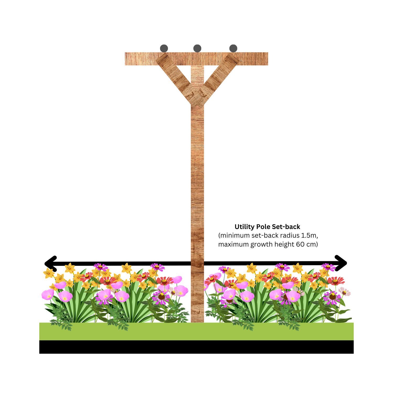 A diagram showing the setback from a utility pole.