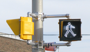 Pedestrian walk signal