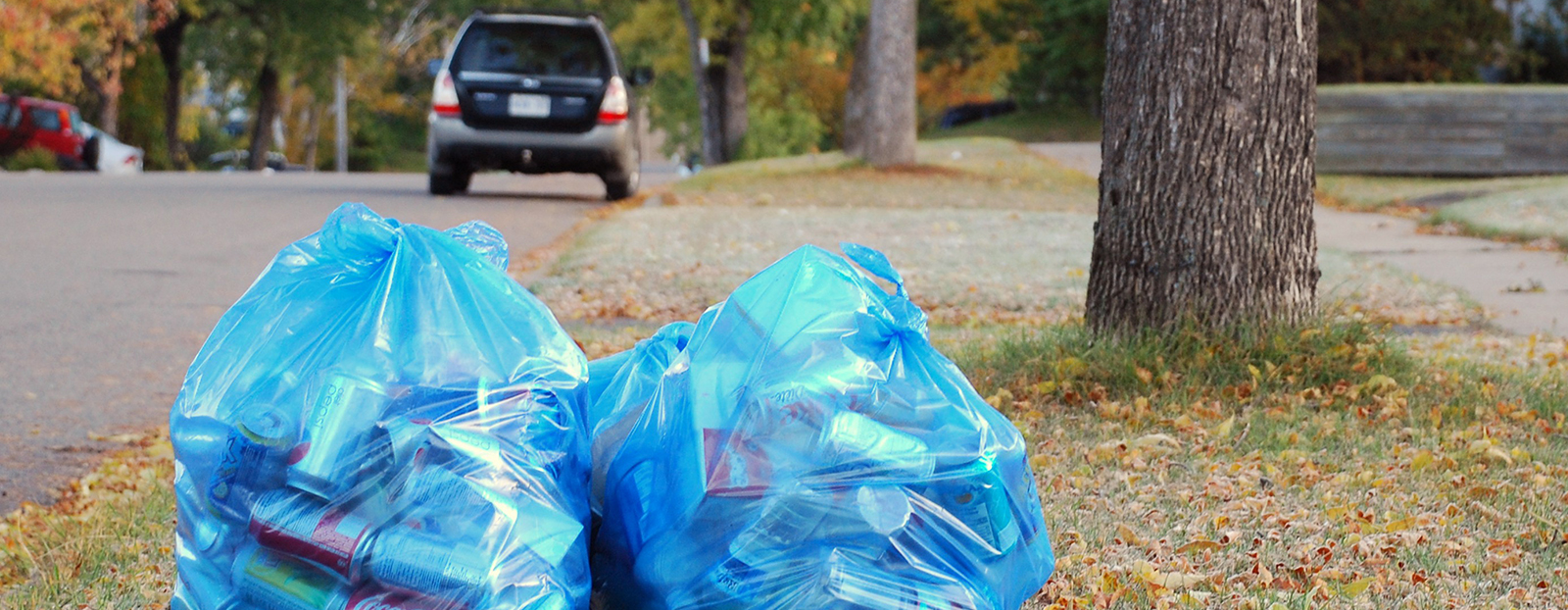 garbage bags on curb