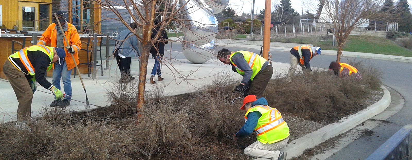 people planting trees