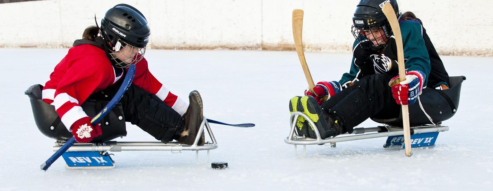 Sledge Hockey photo