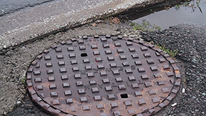 Sewer grate