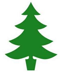 Christmas Tree illustration