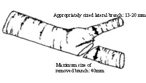 a reduction cut on a tree branch