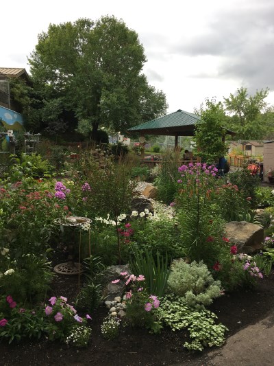 Butterfly Memory Garden