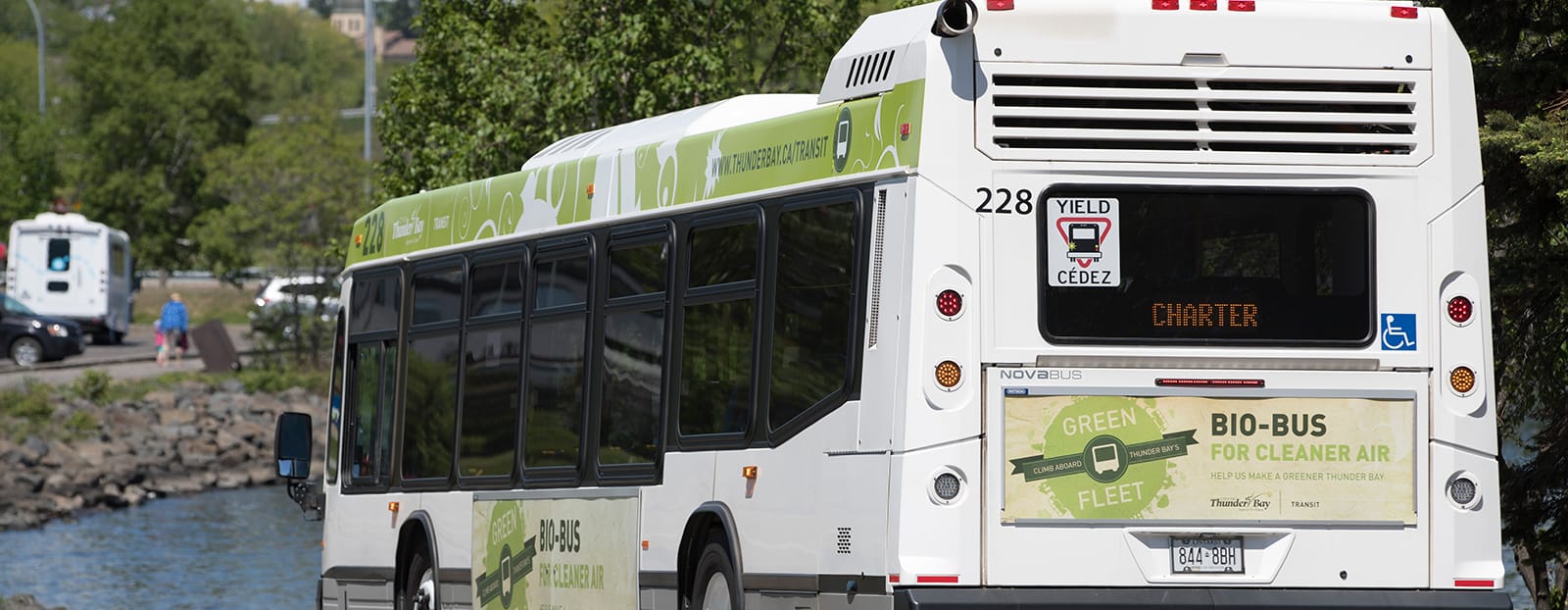 thunder bay city bus
