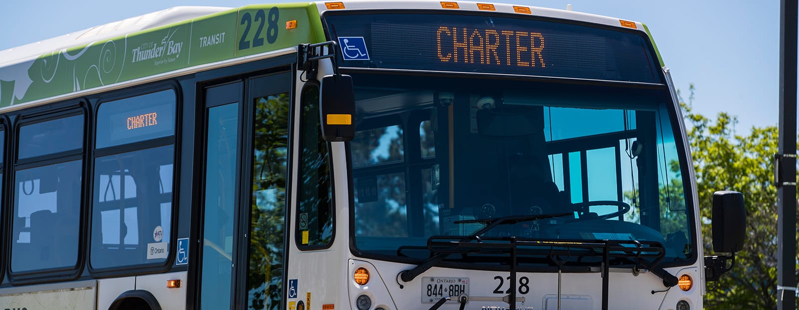 thunder bay city bus