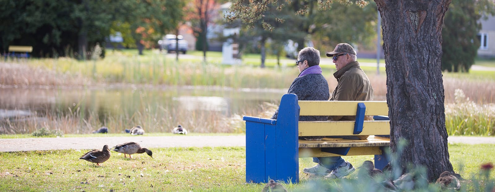 elderly couple sitting on park bench
