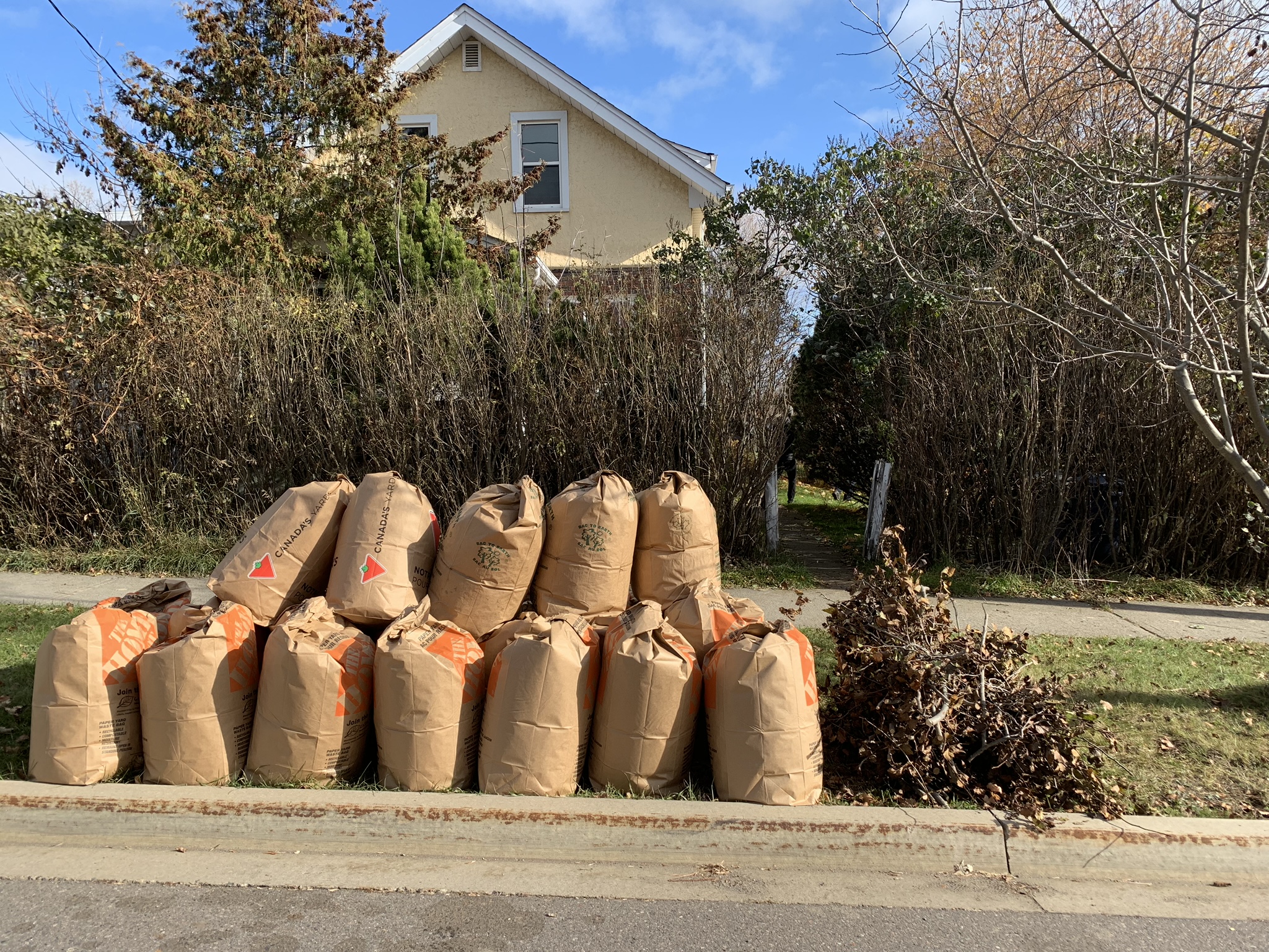 Leaf and Yard Waste 