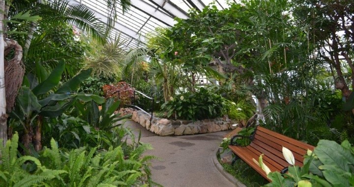 A photograph shows the inside of the Centennial Botanical Conservatory