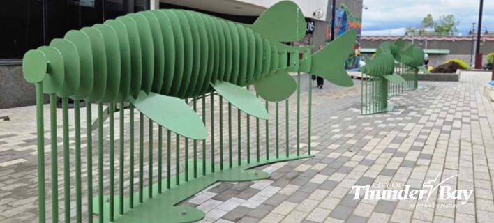 Esox public art on Mall Street 