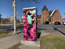 Photo of "Pollinators" artwork by boy Roland on traffic signal box