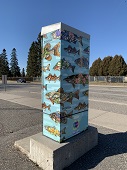 Photo of "Northwestern Ontario Fish and Flora" artwork on traffic signal box