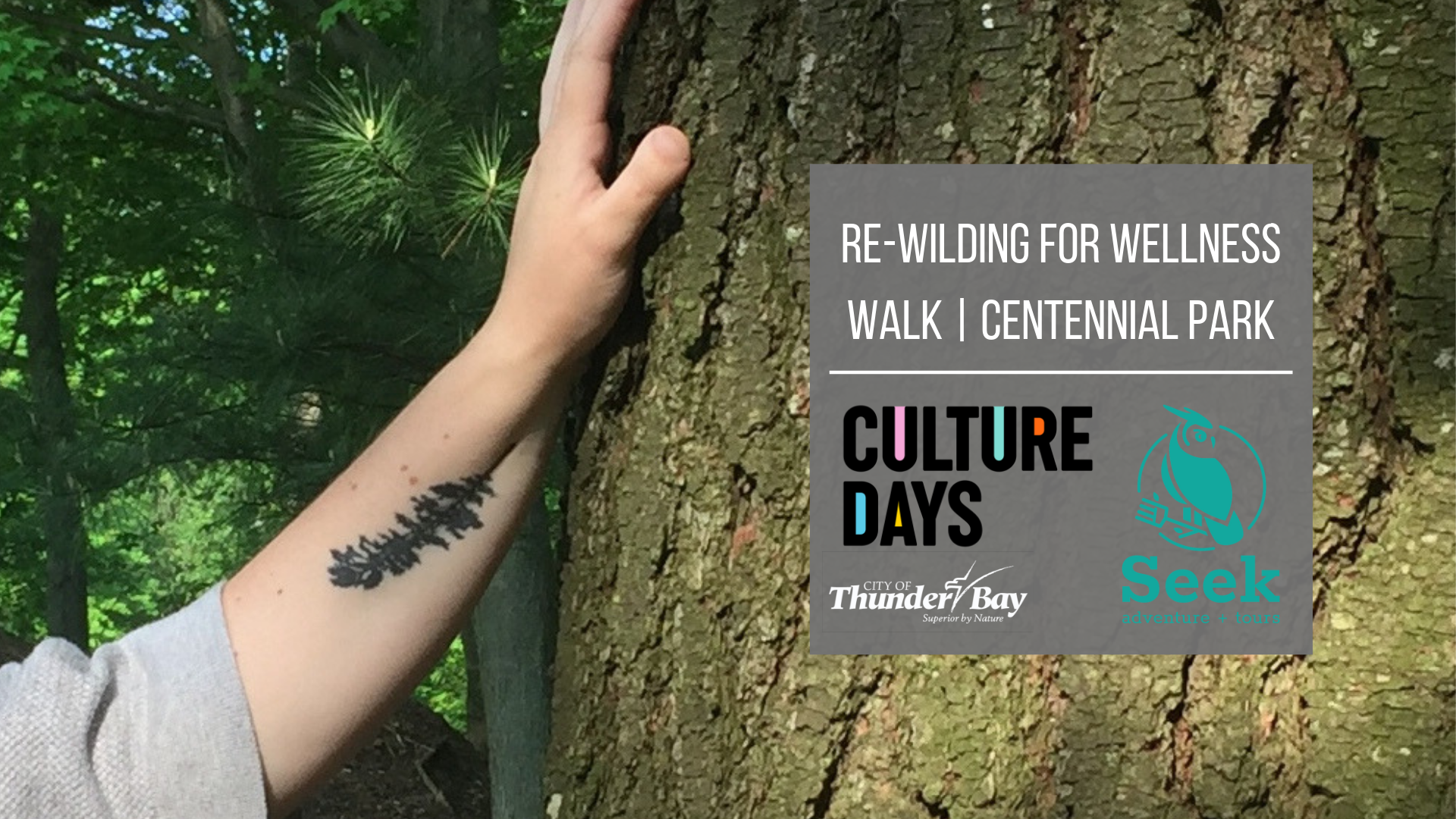 hand against a tree with title of walk overlayed