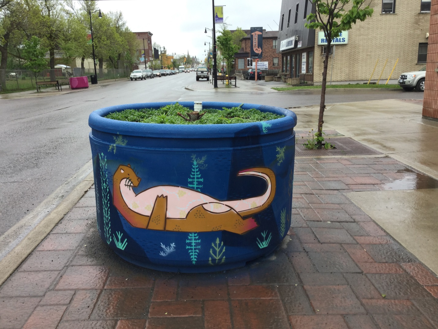 Algoma Street planter with a dinosaur painted on it