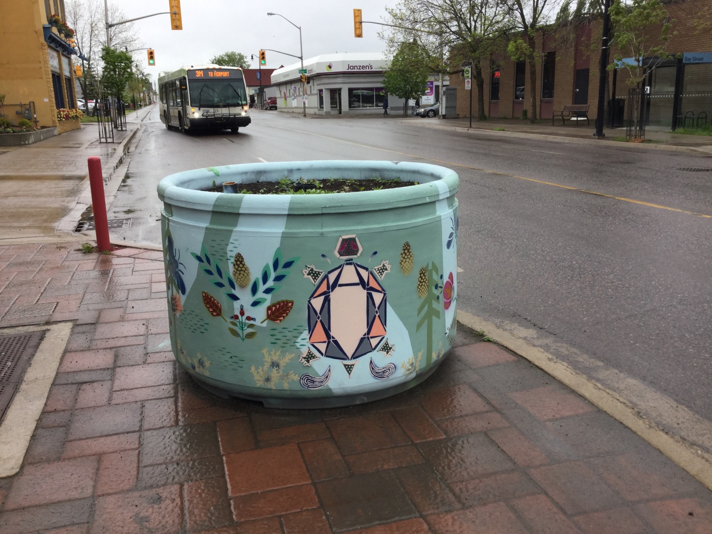 Algoma Street planter with a turtle painted on it