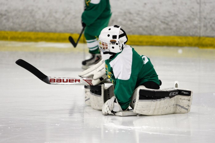 Goalie blocking a shot