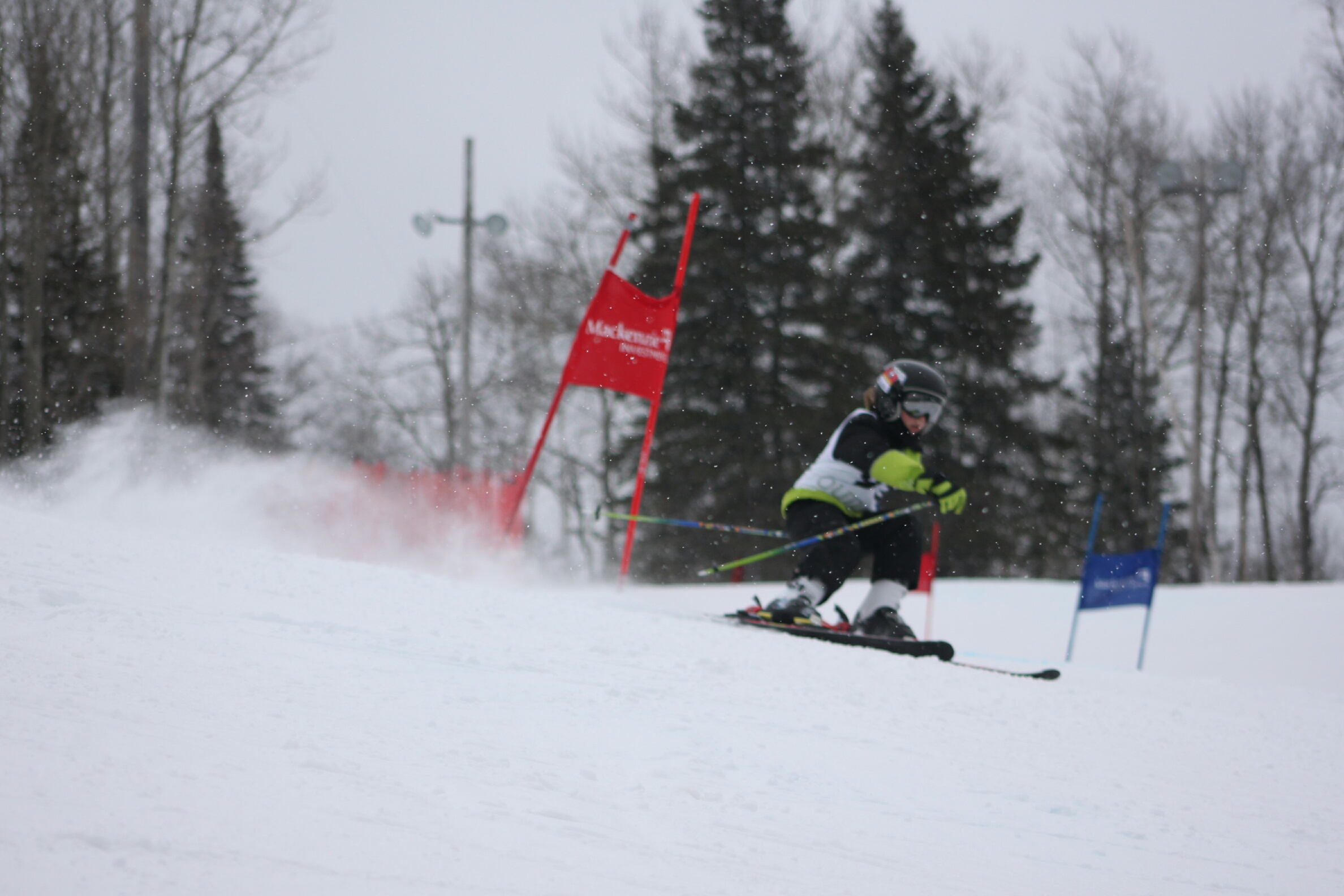 Skiing Skiing