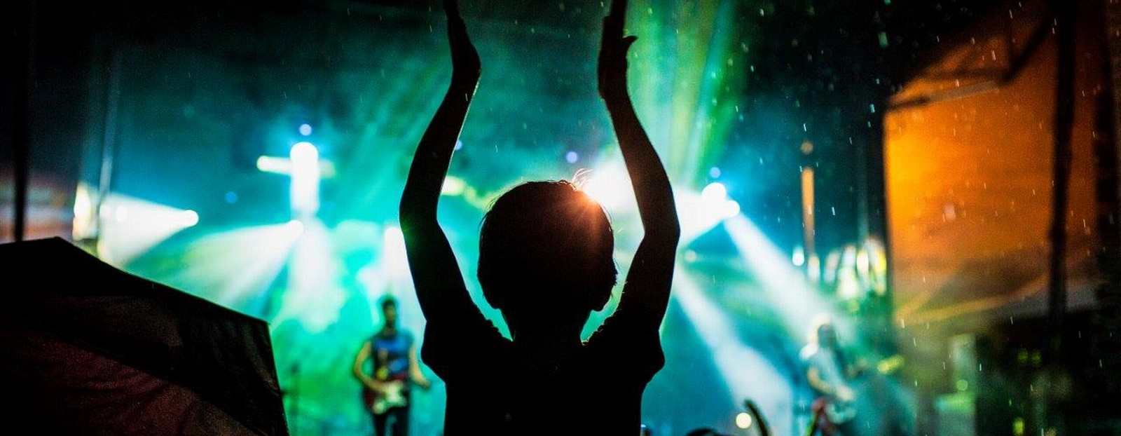 boy at concert