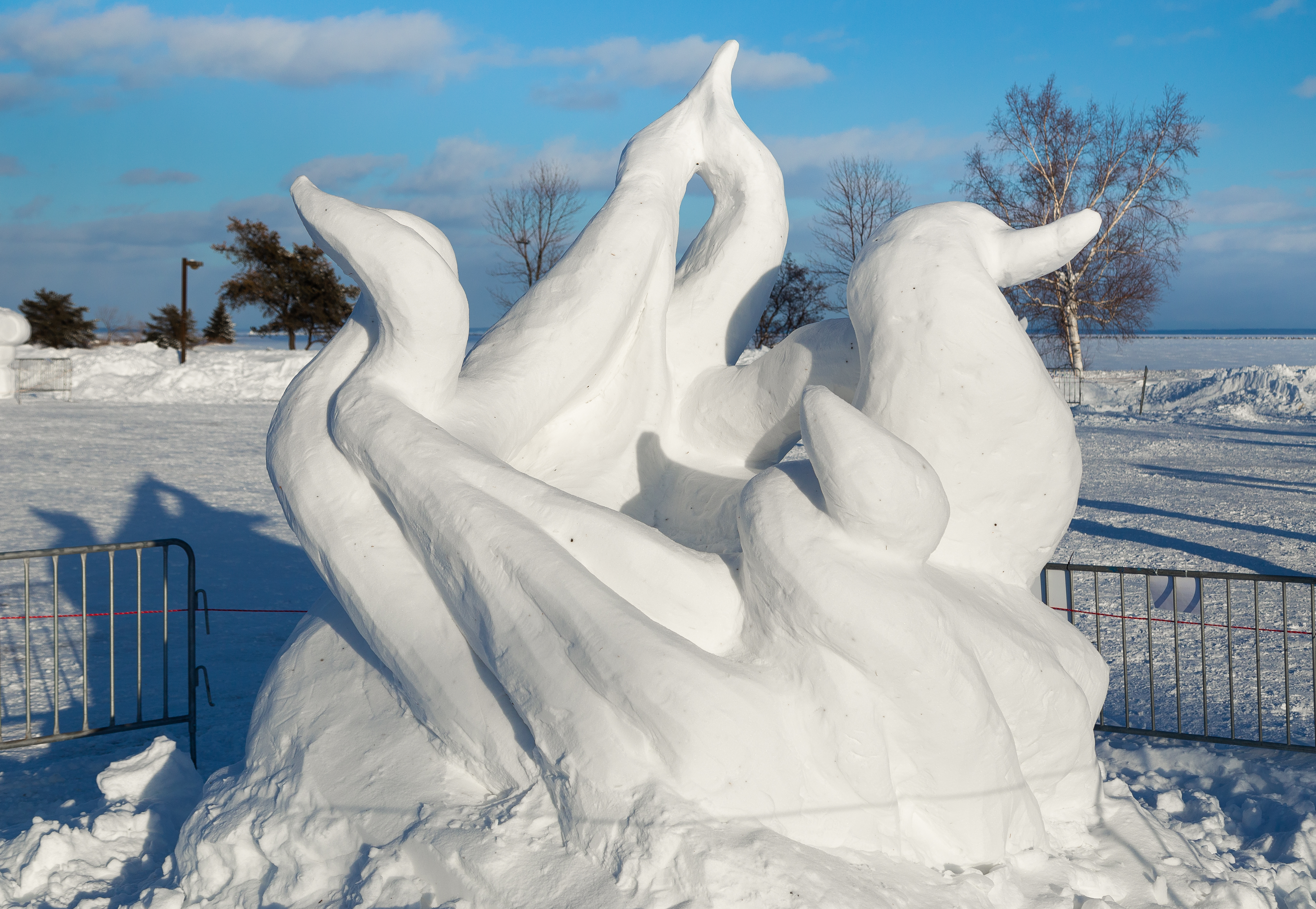 An abstract snow sculpture highlighting the form and flow of snow