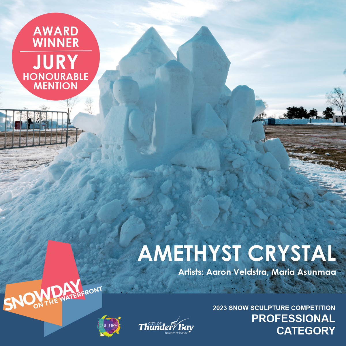Award Winner - Jury Honourable Mention - Amethyst Crystal
