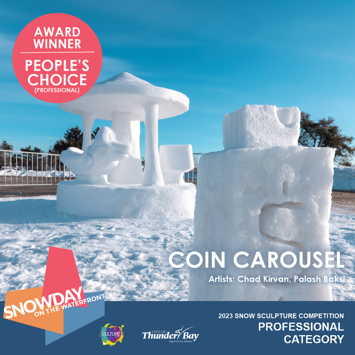 Award Winner - People's Choice - Professional - Coin Carousel