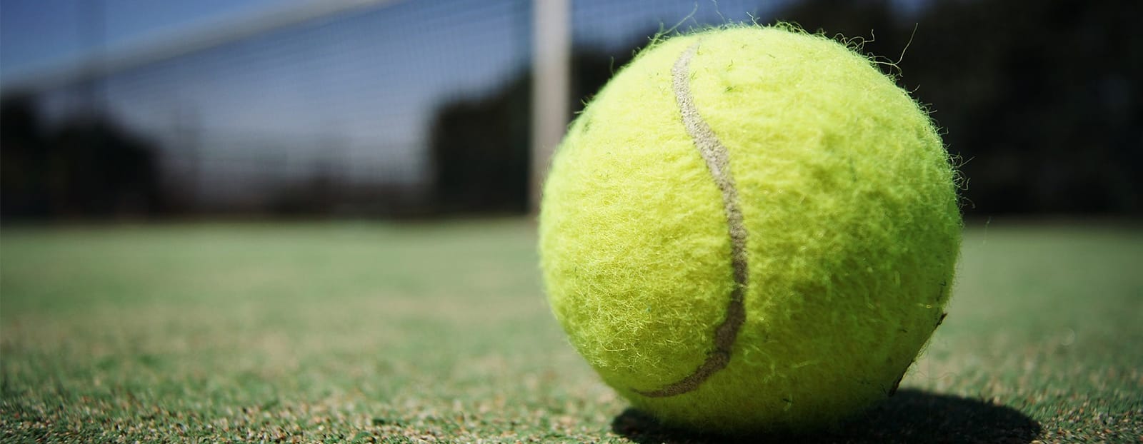 close up of a tennis ball