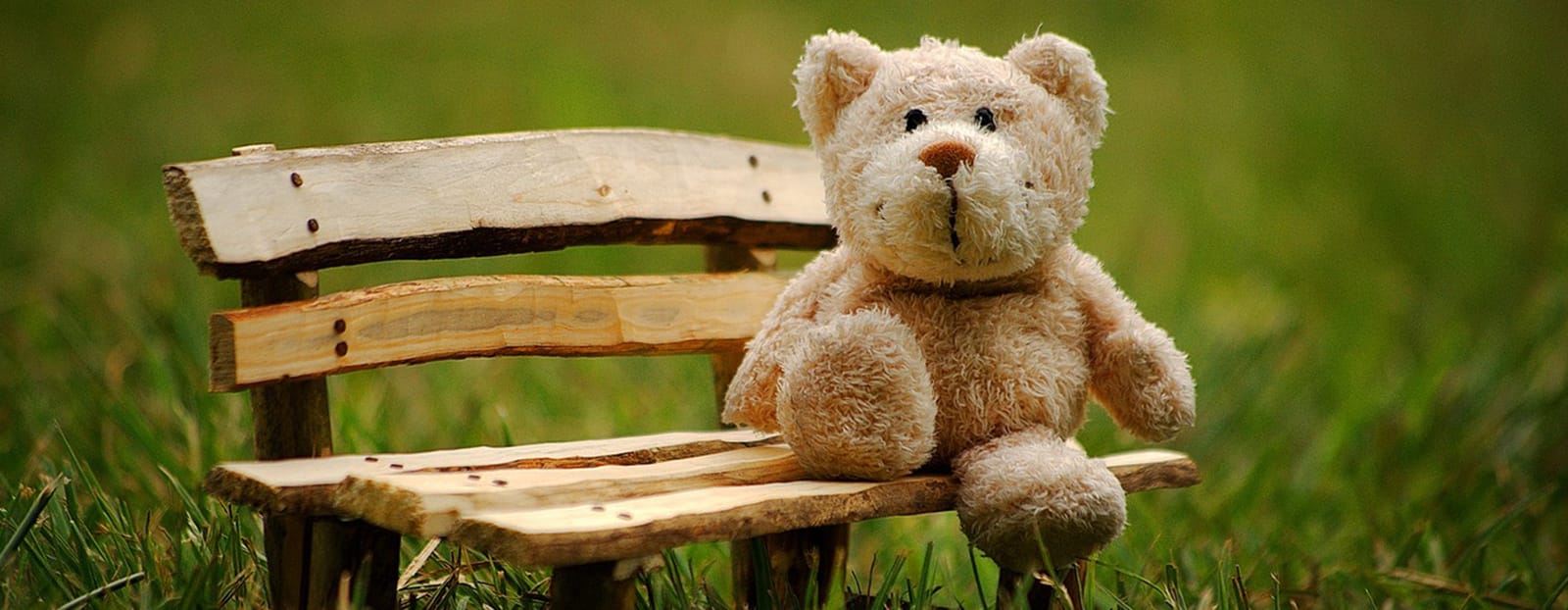 teddy bear on park bench