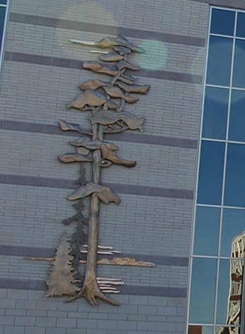 A photo of City Hall and the front facing exterior with the tree sculpture on the wall