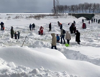 Families play in the snow 