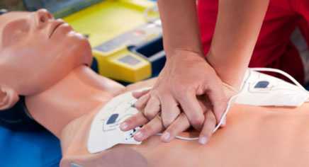 CPR dummy