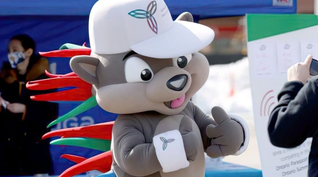 Photo of Pachi