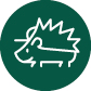 Pachi icon