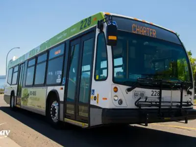 bus-web.jpg